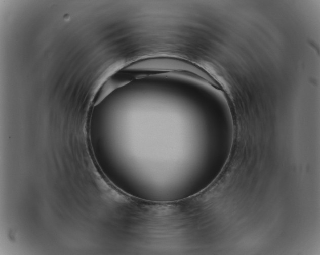 X0000091371189200708241326