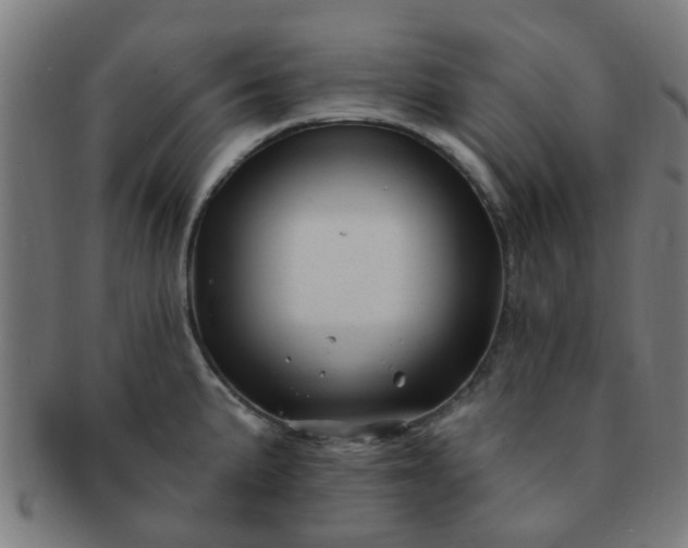 X0000091371191200708241326