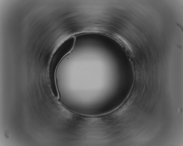 X0000091371192200708241326