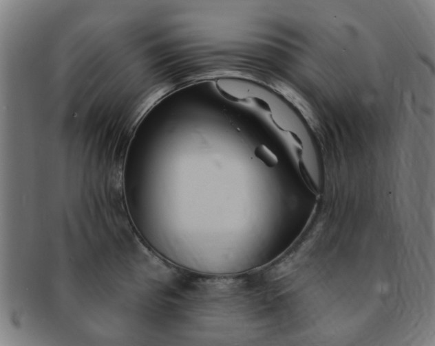 X0000091371193200708241326