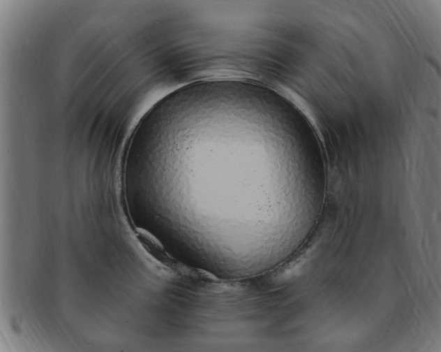 X0000091371195200708241326