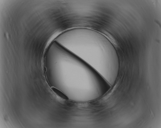 X0000091371196200708241326