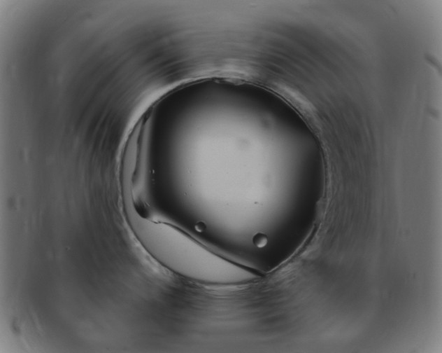 X0000091371200200708241326