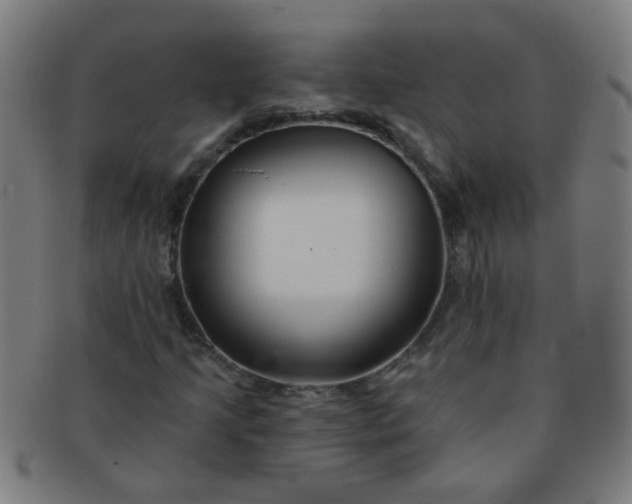 X0000091371205200708241325