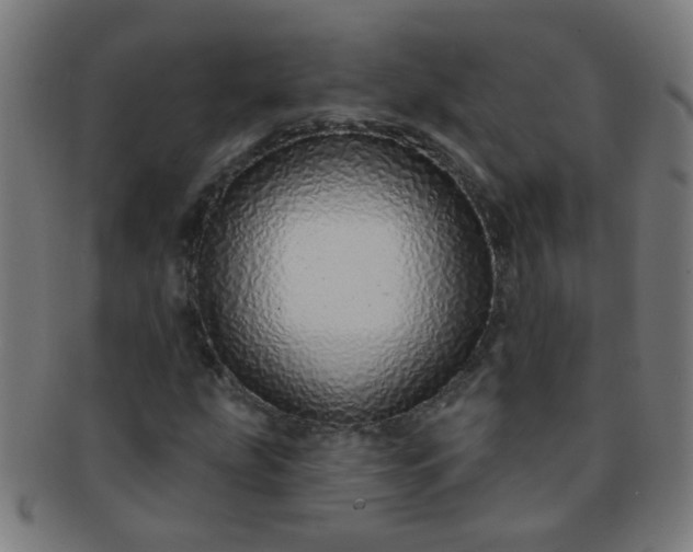 X0000091371207200708241325