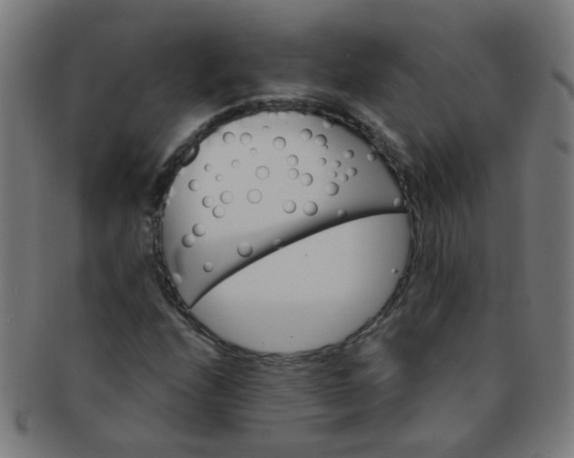 X0000091371208200708241325