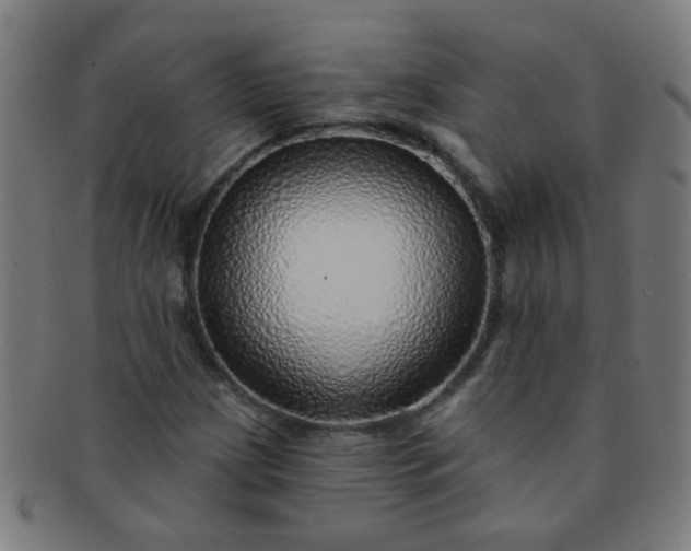 X0000091371209200708241325