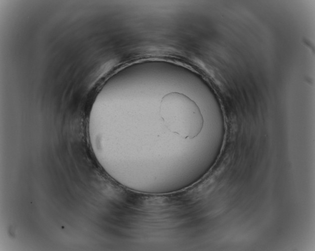 X0000091371211200708241325