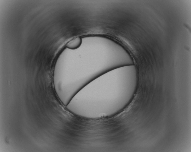 X0000091371212200708241325