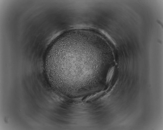 X0000091371213200708241325