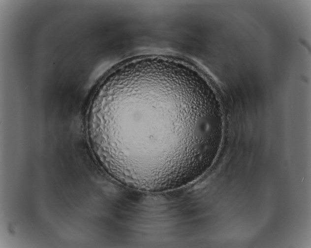 X0000091371215200708241325