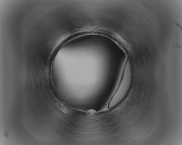 X0000091371216200708241325