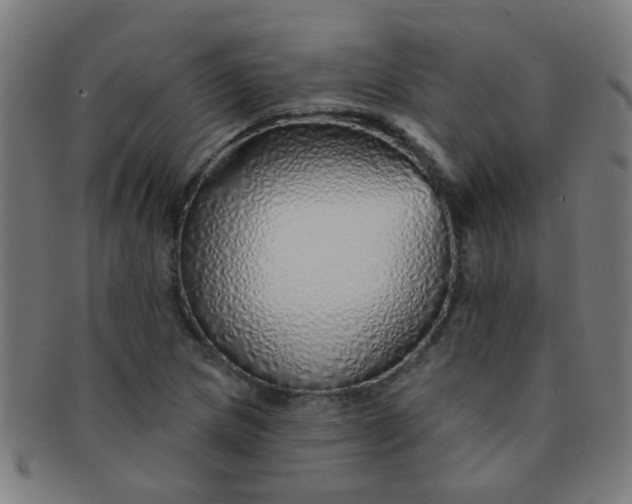 X0000091371217200708241325