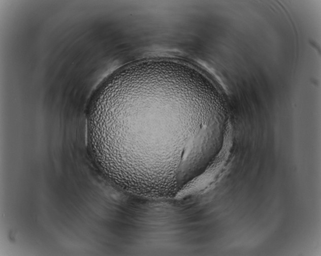 X0000091371219200708241325