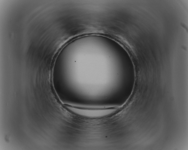 X0000091371220200708241325