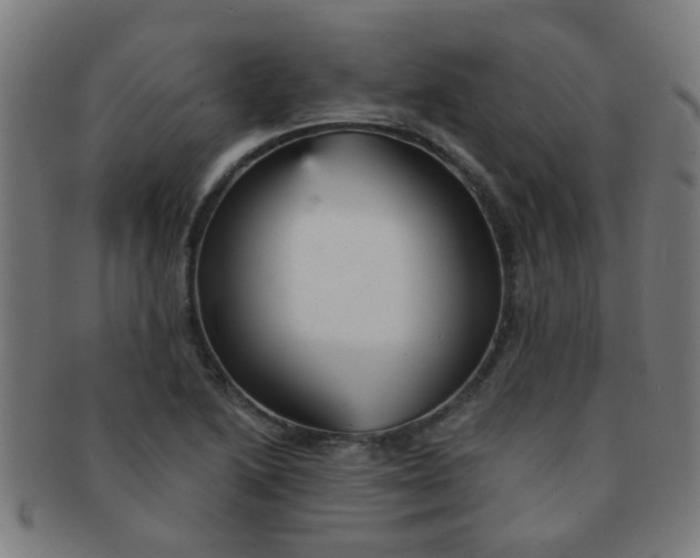 X0000091371222200708241325