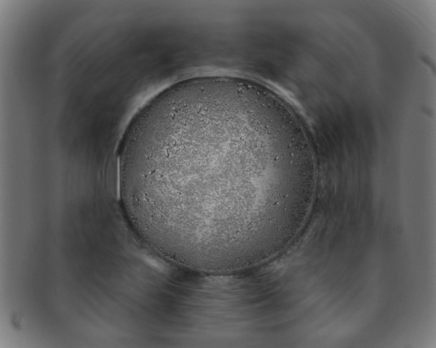 X0000091371223200708241325