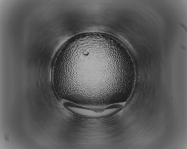 X0000091371224200708241325