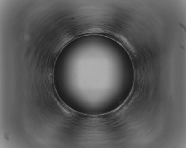 X0000091371225200708241325