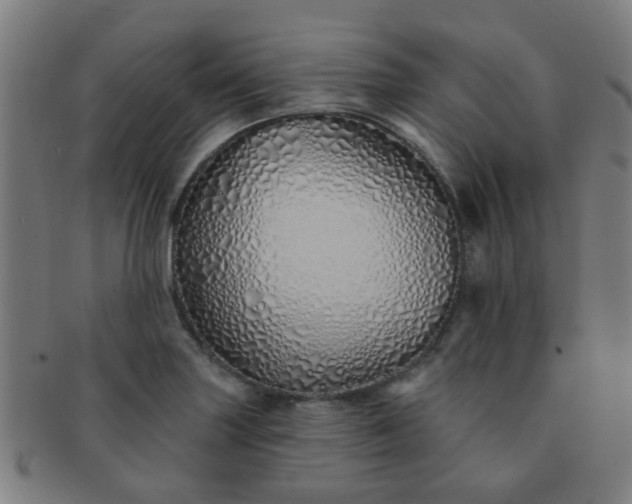 X0000091371227200708241325