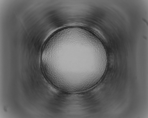 X0000091371228200708241325