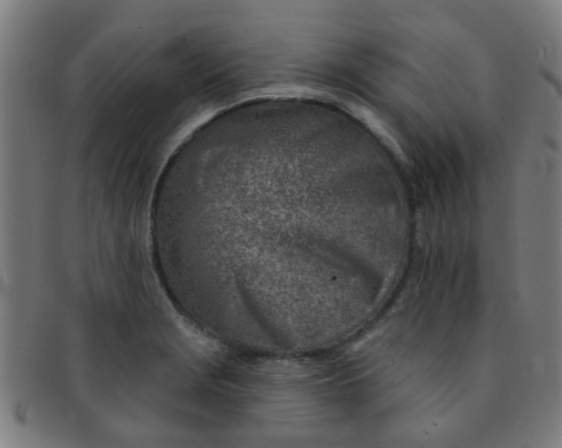 X0000091371229200708241325