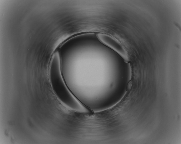 X0000091371230200708241325