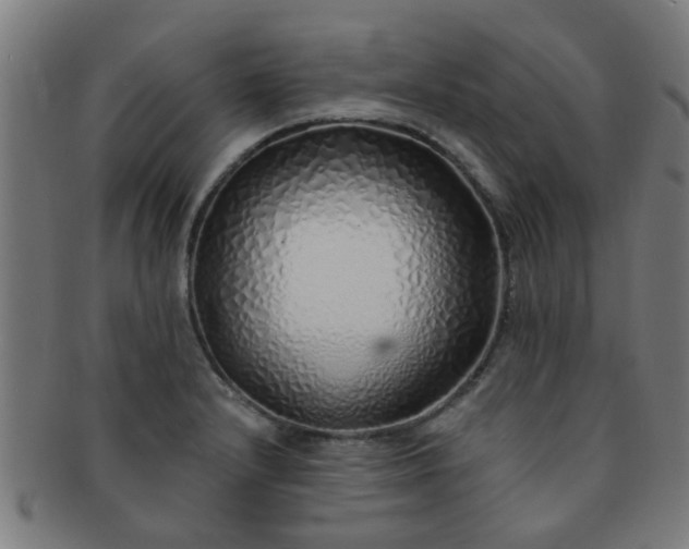 X0000091371232200708241325