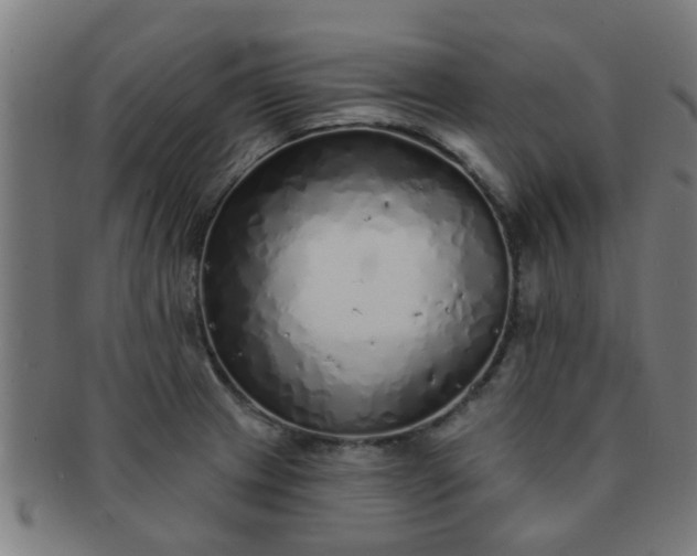 X0000091371233200708241326