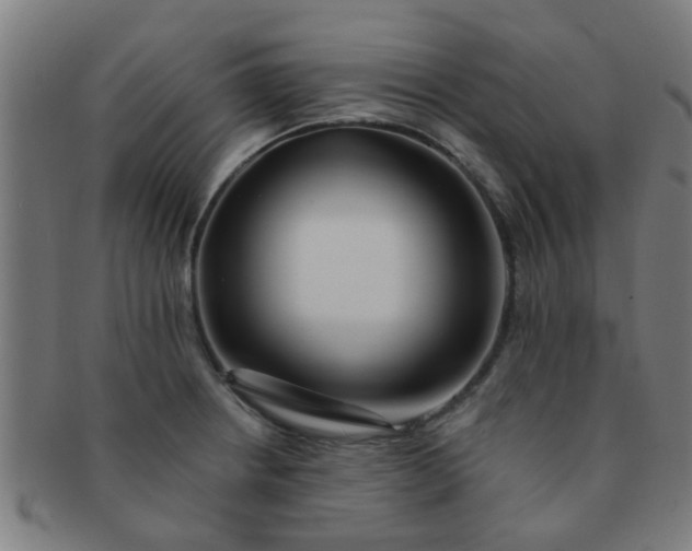 X0000091371234200708241326