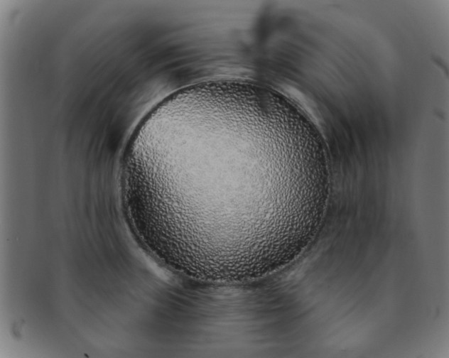 X0000091371235200708241326