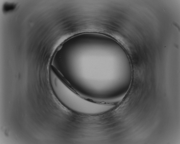 X0000091371238200708241326