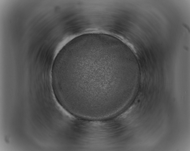 X0000091371239200708241326