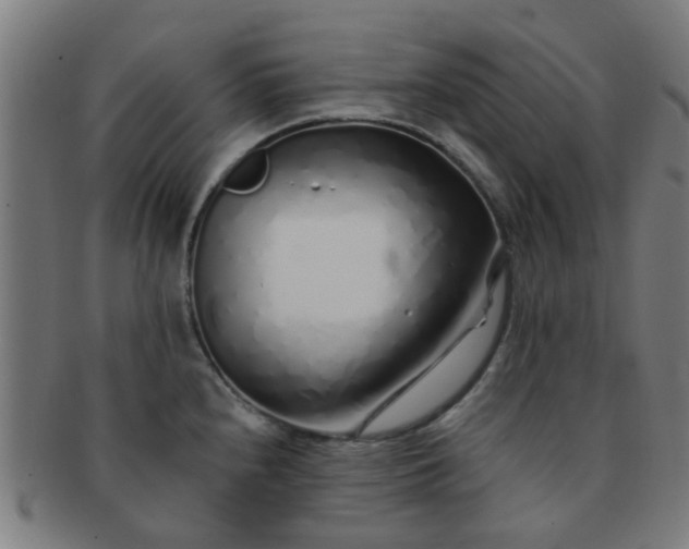 X0000091371240200708241326