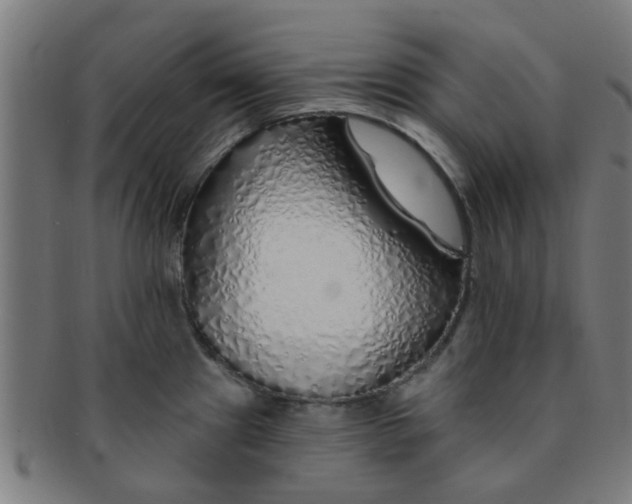 X0000091371241200708241326