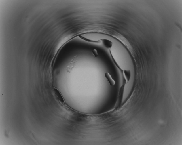 X0000091371242200708241326