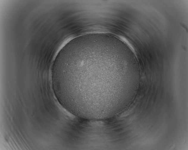 X0000091371243200708241326