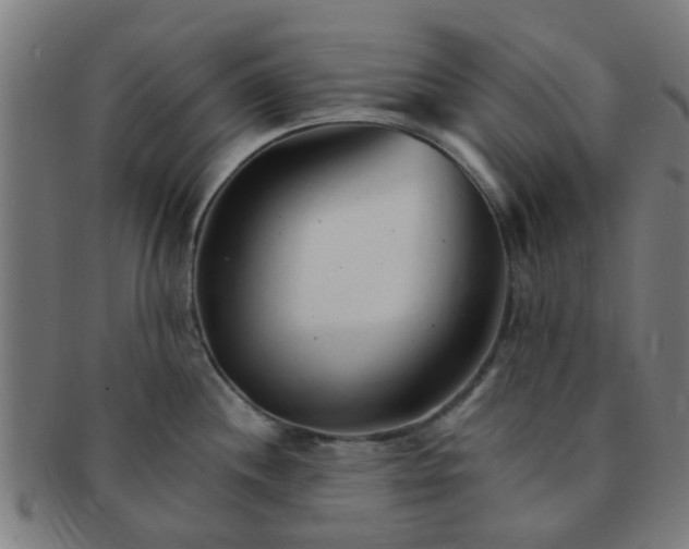 X0000091371244200708241326