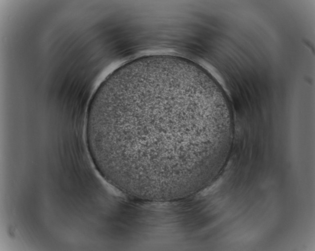 X0000091371245200708241326