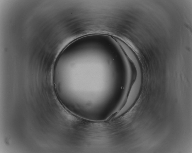 X0000091371246200708241326