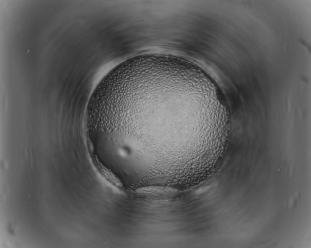 X0000091371247200708241326