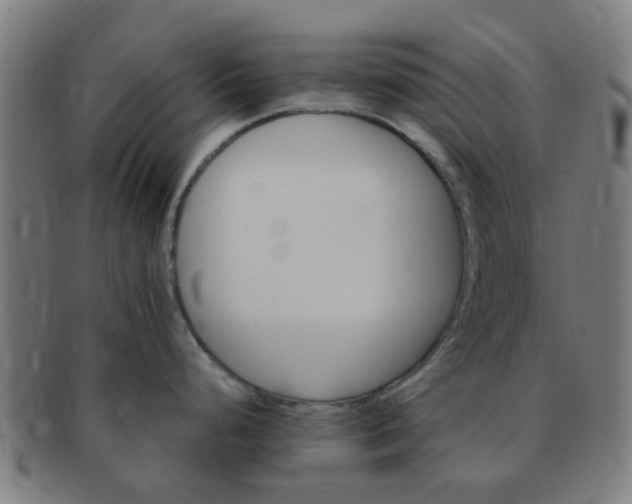 X0000091371248200708241326