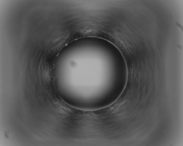 X0000091371250200708241325