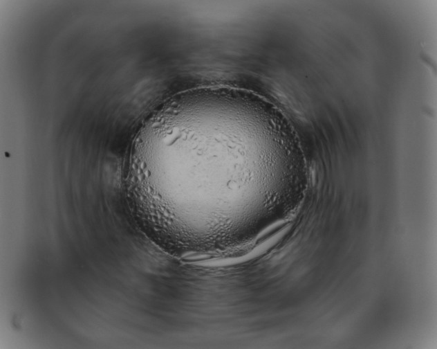 X0000091371251200708241325