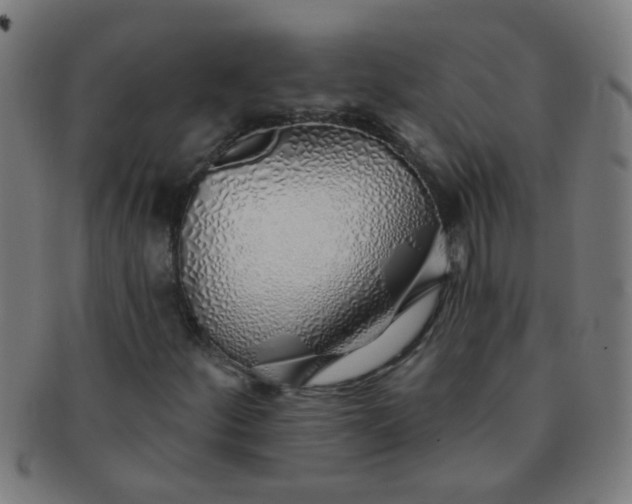 X0000091371252200708241325