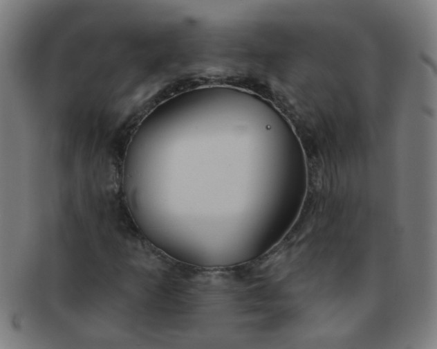 X0000091371253200708241325