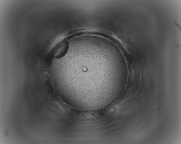 X0000091371255200708241325