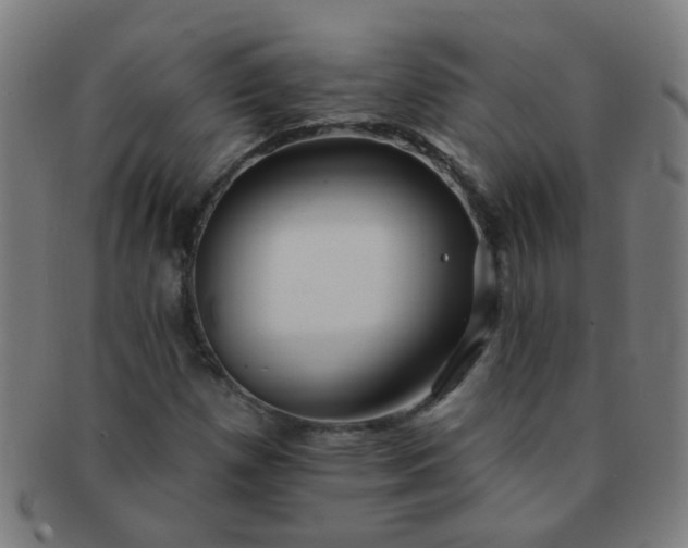 X0000091371257200708241325