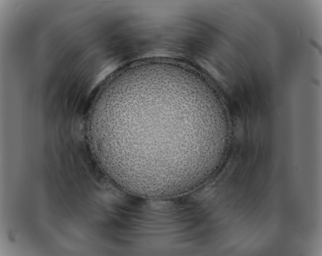 X0000091371258200708241325