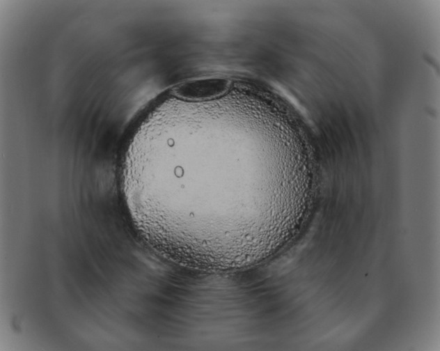 X0000091371259200708241325